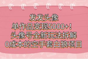 發(fā)發(fā)頭像，單作品變現(xiàn)5000 ！頭像號(hào)全新玩法拆解，0成本的空手套白狼項(xiàng)目