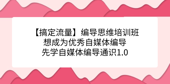 【搞定流量】編導思維培訓班,想成為優(yōu)秀自媒體編導先學自媒體編導通識1.0插圖 【搞定流量】編導思維培訓班,想成為優(yōu)秀自媒體編導先學自媒體編導通識1.0插圖