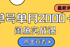 咸魚虛擬資料新模式，月入2w＋，可批量復制，單號一天50-60沒問題 多號多擼