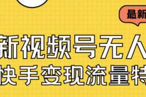 最新視頻號無人直播轉(zhuǎn)快手變現(xiàn)美女玩法日入500 【教程 素材】