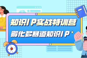 知識IP實戰特訓營，孵化-多賽道知識IP（33節課）
