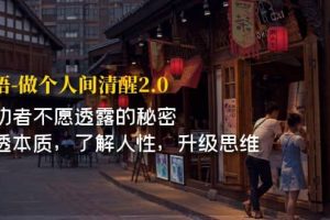 開·悟-做個(gè)人間·清醒2.0 成功者不透露的秘密 看透本質(zhì) 了解人性 升級思維