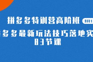 2023拼多多·特訓營高階班【9月13日更新】拼多多最新玩法技巧落地實操-83節