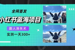 全網首發，小紅書藍海項目，路人消失術，實測一天300 （教程 工具）