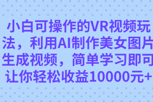 小白可操作的VR視頻玩法，利用AI制作美女圖片生成視頻，你輕松收益10000