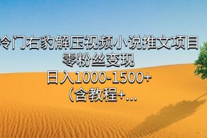 冷門右豹解壓視頻小說推文項目，零粉絲變現，日入1000-1500 （含教程）