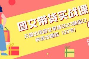 圖文帶貨實戰課：無需出鏡圖文帶貨2023新風口，快速出爆款（33節）