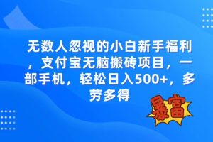 無數人忽視的項目，支付寶無腦搬磚項目，一部手機即可操作，輕松日入500