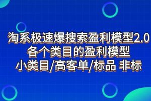 淘系極速爆搜索盈利模型2.0，各個類目的盈利模型，小類目/高客單/標品 非標
