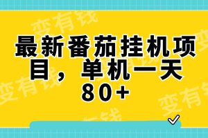 最新番茄小說掛機，單機一天80 可批量操作!