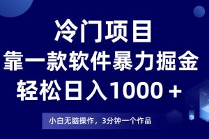 冷門項目靠一款軟件，暴力掘金日入1000＋，小白輕松上手