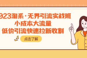 2023淘系·無界引流實戰班：小成本大流量，低價引流快速拉新收割