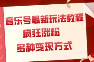 音樂號最新玩法教程，瘋狂漲粉，多種拓展變現方式（附保姆級教程 素材）
