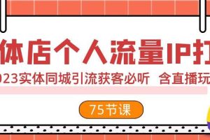 實體店個人流量IP打造 2023實體同城引流獲客必聽 含直播玩法（75節完整版）