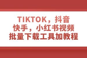 TIKTOK，抖音，快手，小紅書視頻批量下載工具加教程