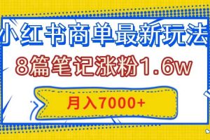 小紅書商單最新玩法，8篇筆記漲粉1.6w，幾分鐘一個筆記，月入7000