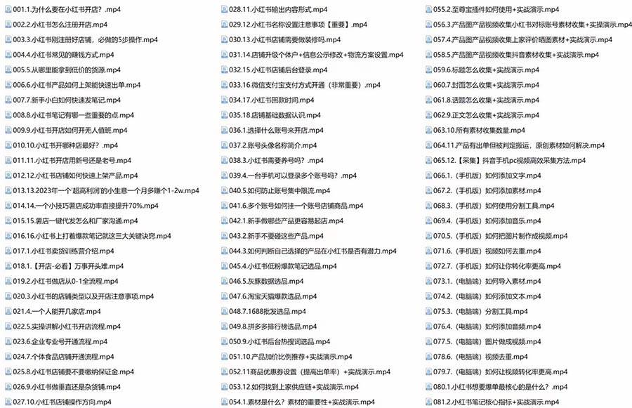 新個體·搞錢-小紅書訓練營：實戰落地運營方法，抓住搞錢方向，每月多搞2w插圖3