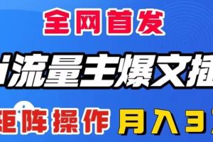 AI流量主爆文插件，只需一款插件全自動輸出爆文，矩陣操作，月入3W＋