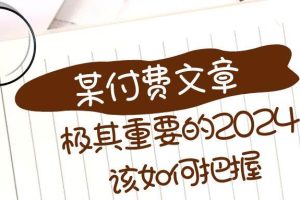 極其重要的2024該如何把握？【某公眾號付費文章】