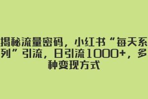 揭秘流量密碼，小紅書(shū)“每天系列”引流，日引流1000 ，多種變現(xiàn)方式