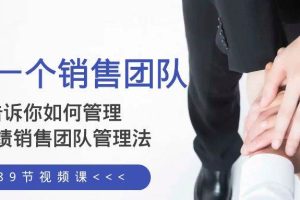 給你一個(gè)銷售團(tuán)隊(duì)，告訴你如何管理，高業(yè)績銷售團(tuán)隊(duì)管理法（89節(jié)課）