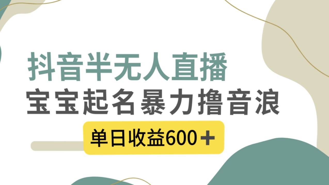 抖音半無人直播，寶寶起名，暴力擼音浪，單日收益600插圖