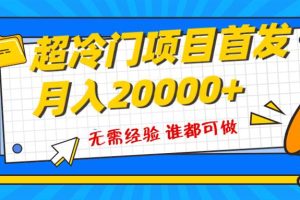 超級冷門項目，粵語動畫賽道，十分鐘一個原創視頻，簡單易上手 實測月入1w