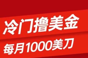 冷門擼美金項目：只需無腦發帖子，每月1000刀，小白輕松掌握