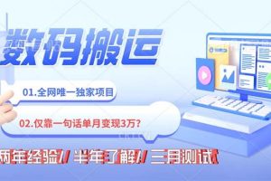 年底最火持久副業(yè),僅靠一句話一月變現(xiàn)3W?