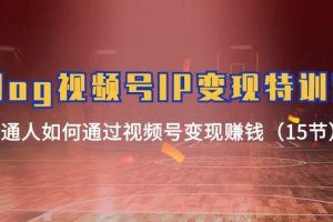 Vlog 視頻號IP變現特訓營，普通人如何通過視頻號變現賺錢（15節）
