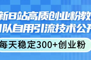 最新B站高質創業粉教程，團隊自用引流技術公開