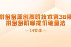 拼多多原創高階技術第38期,拼多多階梯提價破量法(14節課)