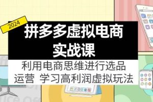 拼多多虛擬電商實戰課：利用電商思維進行選品+運營，學習高利潤虛擬玩法