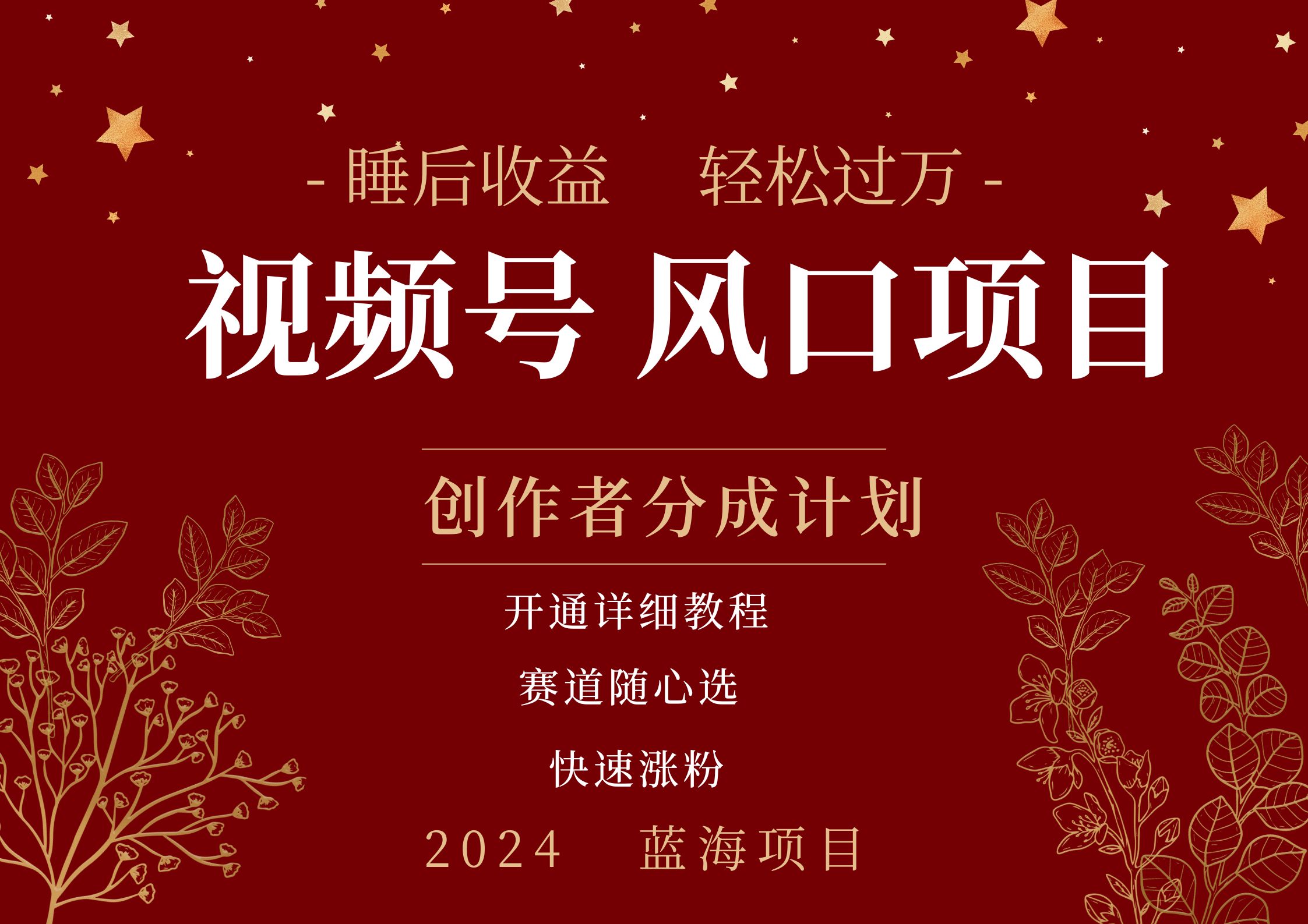 擁有睡眠收益的微信視頻號大風口項目，輕松月入過萬+，多賽道選擇，可矩陣，玩法簡單輕松上手