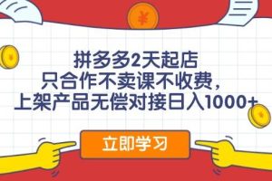 拼多多2天起店，只合作不賣課不收費，上架產品無償對接日入1000+