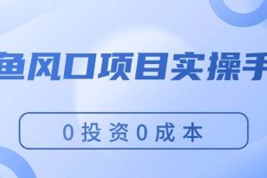 閑魚風口項目實操手冊，0投資0成本，讓你做到，月入過萬，新手可做