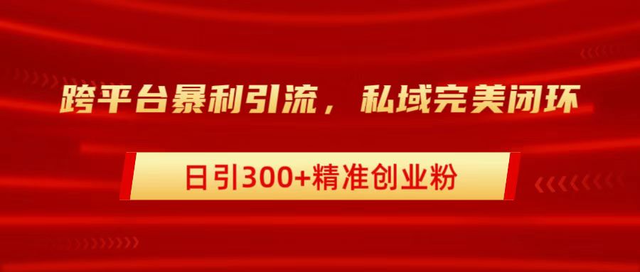 跨平臺暴力引流,私域完美閉環,日引300+精準創業粉