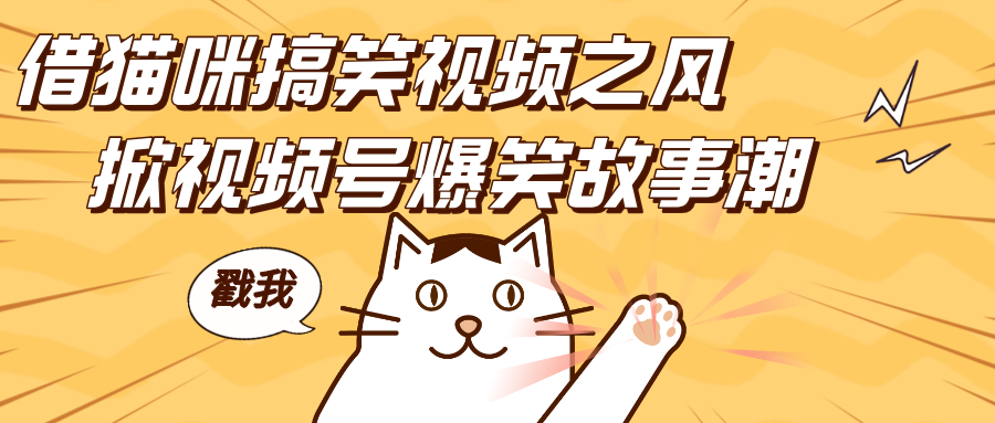 借貓咪搞笑視頻之風(fēng),掀視頻號(hào)爆笑故事潮,輕松日賺四位數(shù),開(kāi)啟無(wú)門(mén)檻賺錢(qián)新體驗(yàn)!