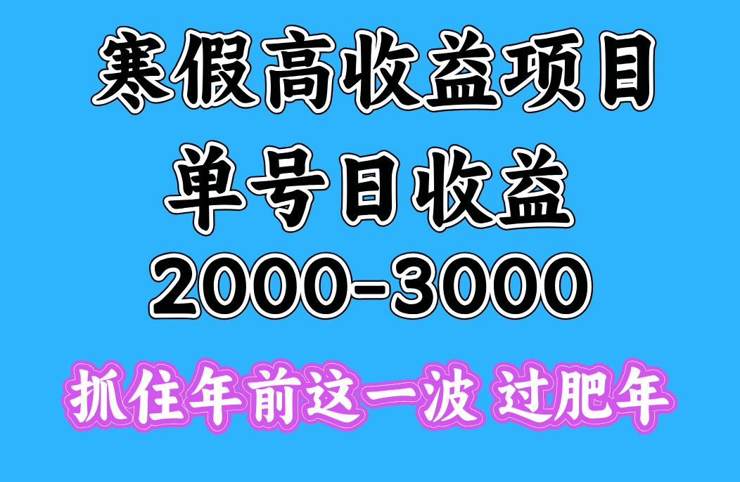 寒假期間一天收益2000-3000+,抓住年前這一波