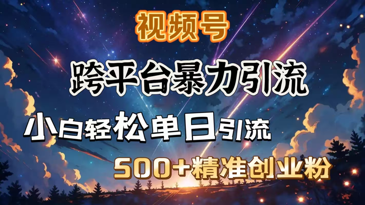 視頻號跨平臺暴力引流，小白輕松單日引流500＋精準創業粉