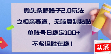 全網首發微頭條野路子2.0玩法之相親賽道，無腦搬磚復制粘貼，單賬號日穩定300+保姆級教程