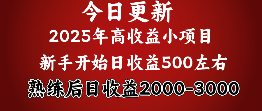 2025開年好項目，新手日收益500+ 熟練掌握后，日收益平均2000多