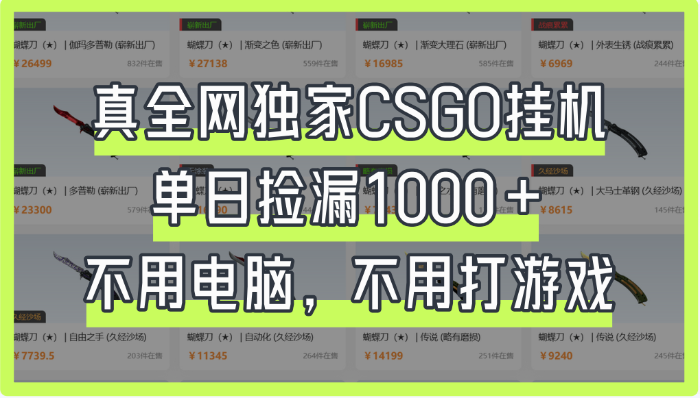真全網獨家CSGO掛機,單日撿漏1000+
