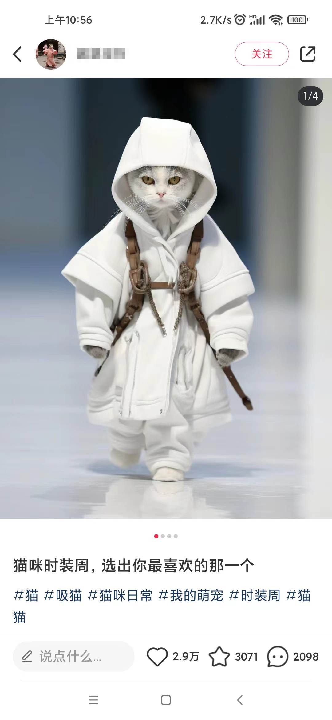 小紅書最新爆款項目,Animal秀,7天變現(xiàn)1w插圖1 小紅書最新爆款項目,Animal秀,7天變現(xiàn)1w插圖1