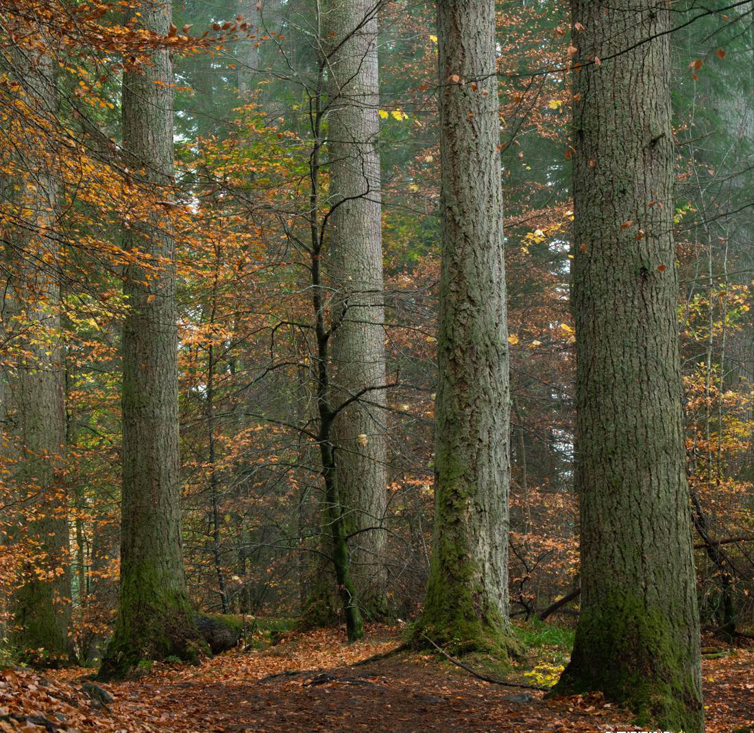 Alister Benn富有表現(xiàn)力的風光后期減淡和加深大師班-中英字幕插圖5 Alister Benn富有表現(xiàn)力的風光后期減淡和加深大師班-中英字幕插圖5