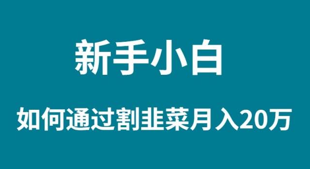 新手小白如何通過割韭菜月入 20W插圖 新手小白如何通過割韭菜月入 20W插圖