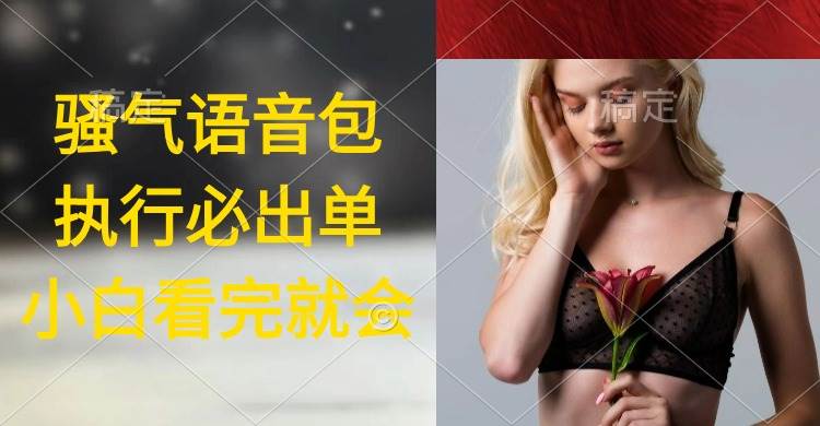 執(zhí)行就出單,日入2000+,超火騷氣語音包,小白看完課程就能馬上實操插圖 執(zhí)行就出單,日入2000+,超火騷氣語音包,小白看完課程就能馬上實操插圖