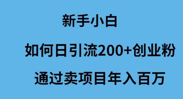 新手小白如何日引流200+創業粉通過賣項目年入百萬