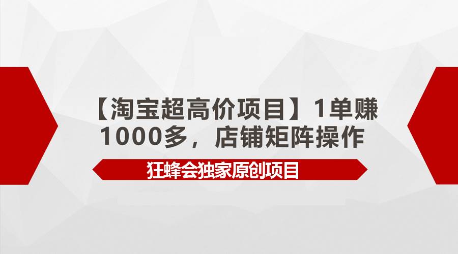 【淘寶超高價項目】1單賺1000多，店鋪矩陣操作