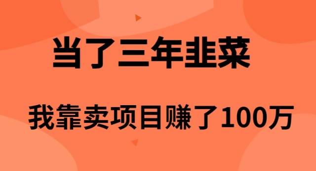 當了3年韭菜,我靠賣項目賺了100萬插圖 當了3年韭菜,我靠賣項目賺了100萬插圖